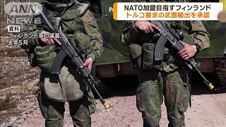 NATO加盟申請のフィンランド　トルコへ武器輸出承認(2023年1月27日)