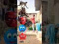 Furry Head to monkey Dog cat elephant snake - VFX magic video #shorts