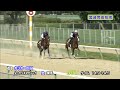 【2013育成馬展示会　調教映像】№41 カリカーの11