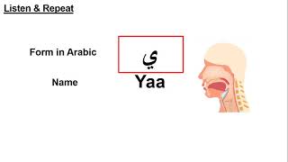 Arabic Alphabet | Letter Yaa = ي