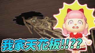 【Anny動森彩蛋】我家天花板破了?!【動物森友會】