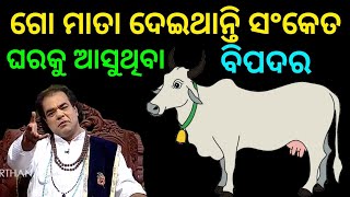 ଗୋ ମାତା କଣ ସଂକେତ ଦେଇଥାନ୍ତି | sadhu bani jitu das new episode | odia pravachan jitu das sadhubani|