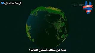 كم يبلغ عدد الاشجار في العالم هو رقم نتوقعه ؟؟🌲🌲