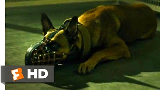 Dog (2022) - Picking up the Dog Scene (1/10) | Movieclips