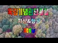 독립기념관단풍길 지상&항공촬영