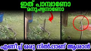 ഇത് പാമ്പാണോ മനുഷ്യനാണോ എണീച്ച് ഒരു നിൽപ്പാണ് ആശാൻ | Snake In Home