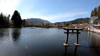 [湯布院]天祖神社から見る金鱗湖 2019.4.4.