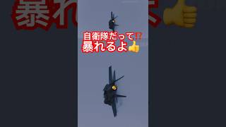 航空自衛隊最新戦闘機 F-35Aが本気で飛ぶとこうなる！その3 三沢基地航空祭2023