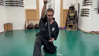 Ogawa Ryu - Shidoshi Joao Paulo - Teaching Moments!