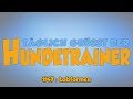 TGH 47 :  Lobformen für Hunde - Wie kann ich meinen Hund loben - Hundeschule Stadtfelle