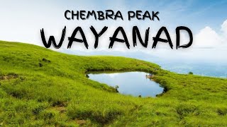 Chembra Peak Wayanad | Heart Shape Lake | Wayanad Tourism | Wayanad Travel Guide | In Hindi