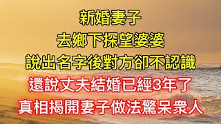 新婚妻子去鄉下探望婆婆，說出名字後對方卻不認識，還說丈夫結婚已經3年了，真相揭開妻子做法驚呆衆人