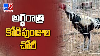 కృష్ణ జిల్లా కొండ పర్వం లో కలకలం - TV9