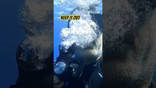 Don T Make This Mistake Again Always Keep It Up