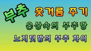 [텃밭농부.932]  부추밭에 첫 웃거름 주기