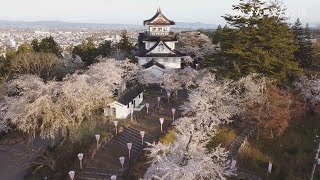 【あきた桜模様】展望台、淡いピンクに囲まれて　横手公園