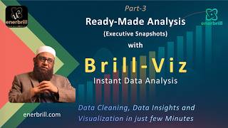 Executive Snapshots Ready Made Data Analysis Turn Data Into Key Insights And Visuals Instantly