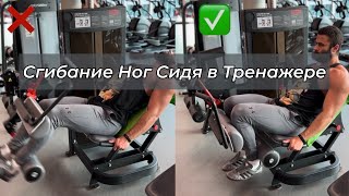 Сгибание Ног Сидя в Тренажере