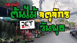 ตลาดต้นไม้จตุจักรวันพุธ