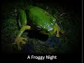 A Froggy Night - 找台北樹蛙 Night Hike Hunt For Taipei Green Tree Frogs.