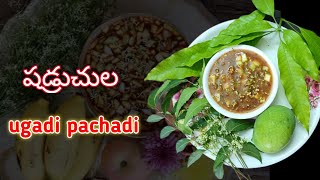 ugadi special Ugadi Pachadi షడ్రుచుల ఉగాది పచ్చడి recipe in telugu