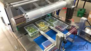 Fully automatic MAP modified atmosphere packaging machine