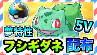 【ポケモン配布配信】ムンボ入り5V夢特性フシギダネ配布中！初見さん大歓迎！【ダイパリメイク】【オシャボ】