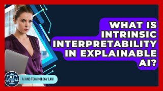 What Is Intrinsic Interpretability In Explainable AI? - AI and Technology Law