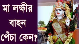 পেঁচা কেন মা লক্ষীর বাহন?