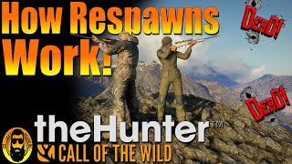 How Respawns Work in thehunter Call of the Wild!