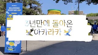 [Vlog] 10cm와서 기쁜 교육학과의 아카라카 후기 / 연세대 응원