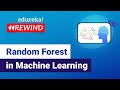 Explore Random Forest Algorithm  | Machine Learning Training | Edureka | ML Rewind