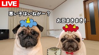 【生配信】本日は節分！初めての手作り恵方巻に挑戦＆豆まきをします