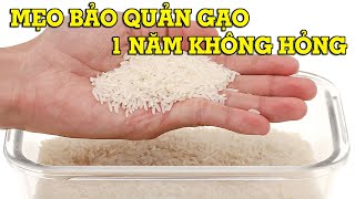 4 mẹo bảo quản gạo không bị mọt, 1 năm không hỏng - Mẹo Vặt Cuộc Sống