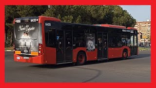 Publicidad autobuses Valencia - EL NOVIO DE ESPAÑA