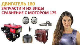 Дизельный двигатель на мотоблок 180. Различия моделей. Запчасти R180 R175