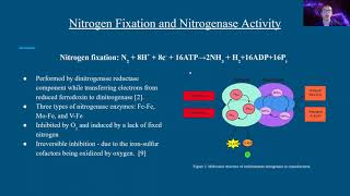 HYDROGEN PRODUCTION BY CYANOBACTERIUM ANABAENA VARIABILIS