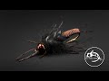 COPPER JOHN - Stonefly Style - Copper Joan?!?!? | Fly Tying Tutorial