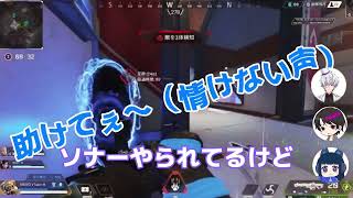 【Apex Legends】同期と仲良くランク！因果応報を身をもって知るメリオの巻🎮