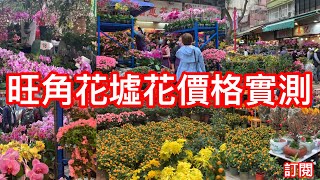 旺角花墟花價格實測｜新年行花￼市首選旺角花墟