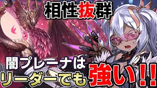 【蒼穹の千龍】プレーナはリーダーでも優秀！！メルゼナ×プレーナが強すぎる！！【パズドラ実況】