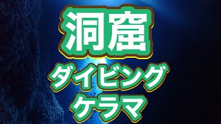 洞窟ダイビング！ハタンポの群れ・ディーズパルス沖縄