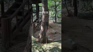 #고양 #파주 #1천산 고양 #가좌공원 2022 9/8