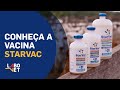 Conheça a Vacina STARVAC - Labovet Produtos Veterinários