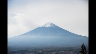 静岡に寒波がキター