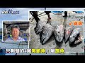 快新聞／海上移動buffet　台東漁民捕獲「黑鮪魚頭」無奈原因曝－民視新聞