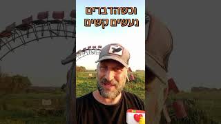 אל תאכל לפני שהאכלת את הכלב שלך