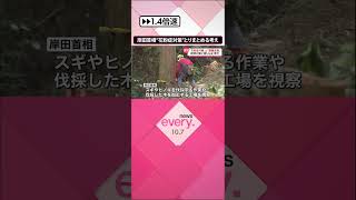 【岸田首相】“花粉症対策”とりまとめる考え　来週に関係閣僚会議開催  #shorts