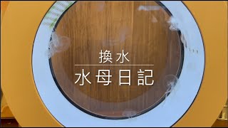 水母日記EP8換水