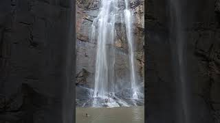 ஆகாயத்திலிருந்து விழும் அருவி #kollimalai_trip #kollimalai_falls #kollimalairesort #travel #trekking